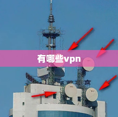 有哪些vpn