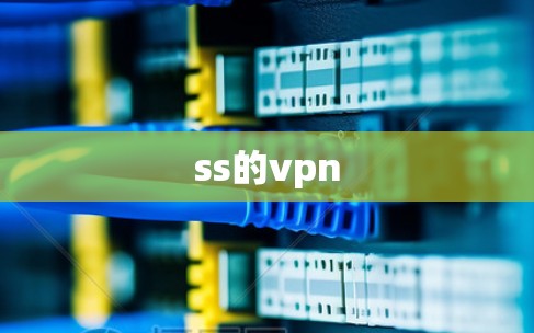 ss的vpn